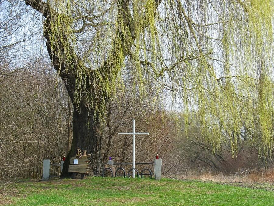 Mogiła z 1944 r. na Błoniach Wilanowskich