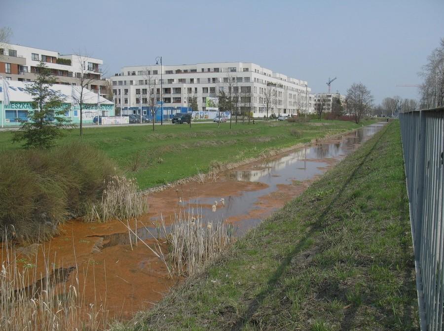 Wilanów - rudy kożuszek na kanałku