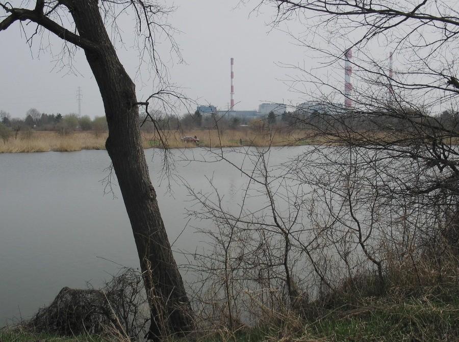 Jeziorko Czerniakowskie
