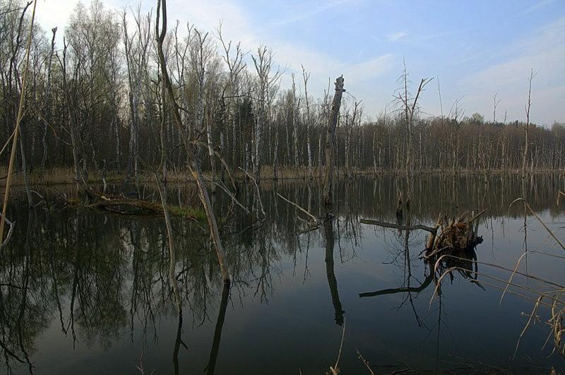 Idealne miejsce do kręcenia horrorów....