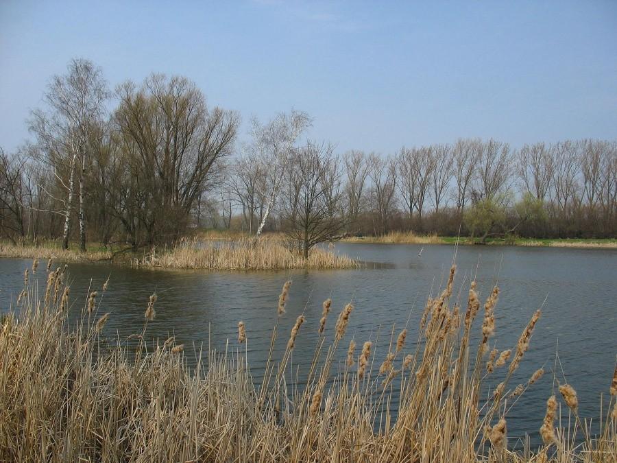Jezioro Powsinkowskie