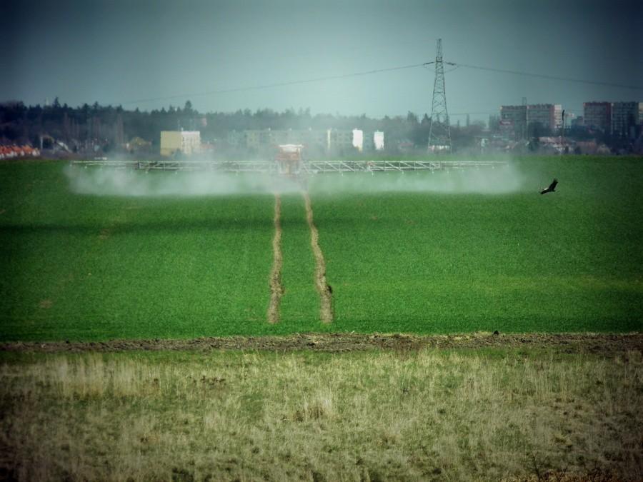 Czynności opryskowe na polu pod Stobnem - kamerą otworkową.