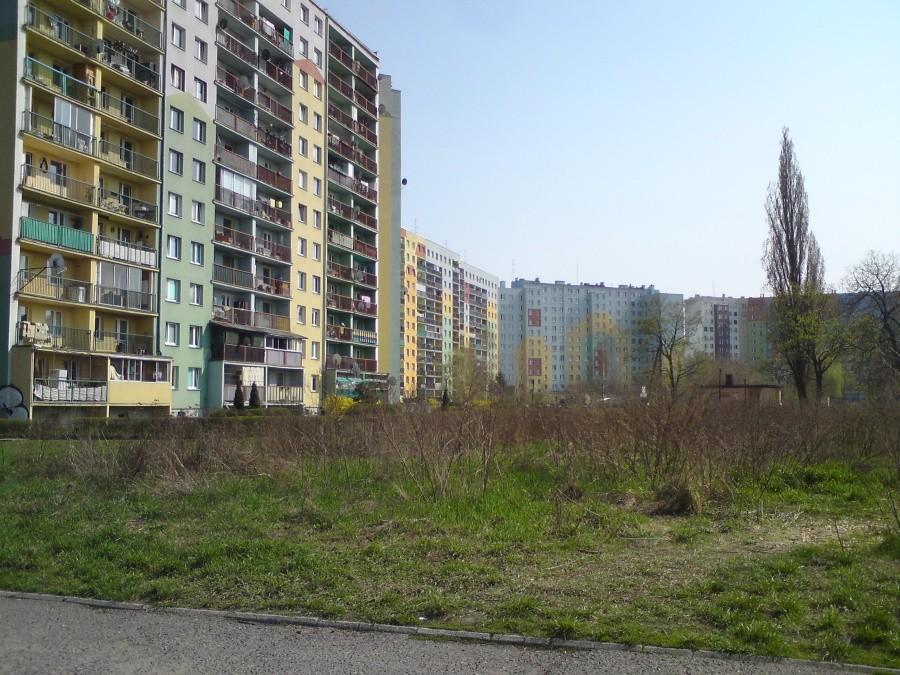 Gaj - bloki