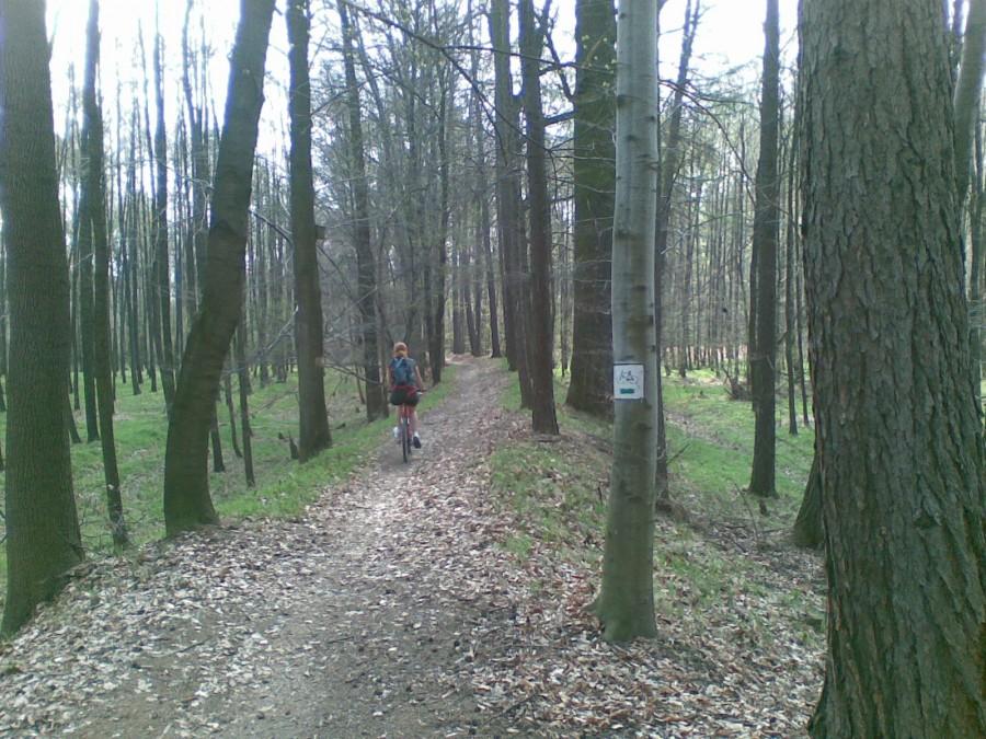 Trakt Cesarsko-Pruski