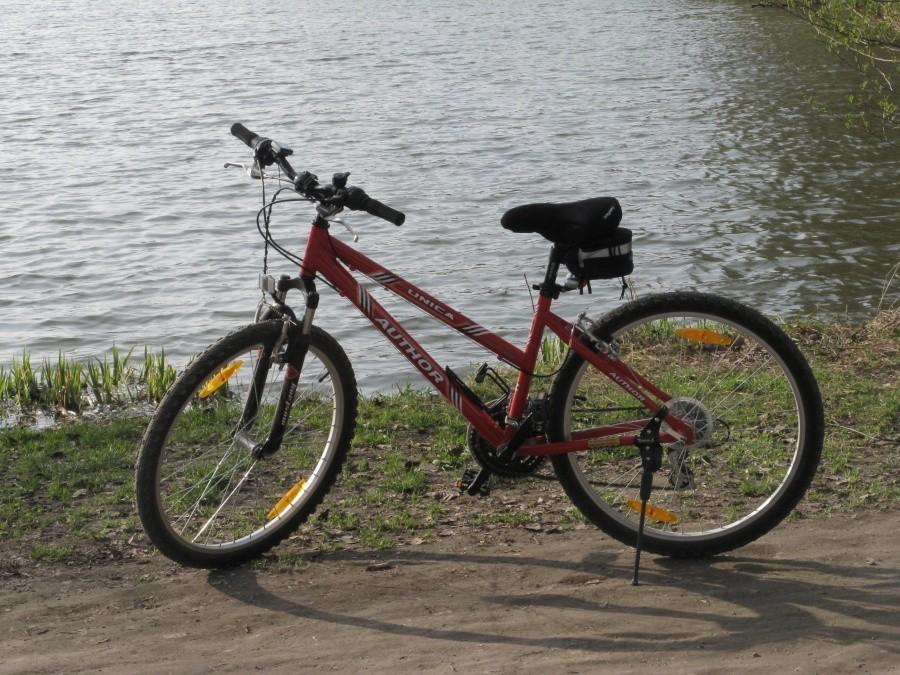 Rower Baby z Rusałką w tle