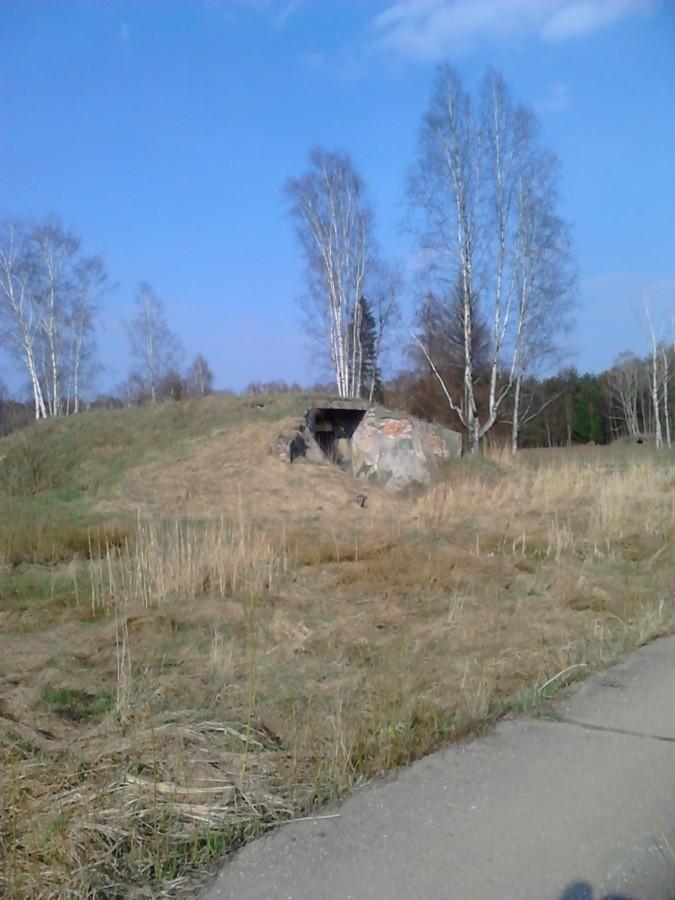 Bunkry są porośnięte trawą