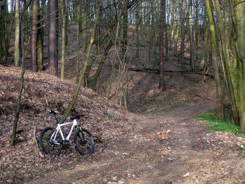 Park Krajobrazowy Promno - pofałdowany teren