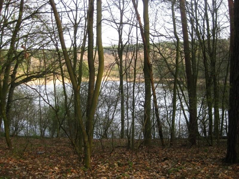 Park Krajobrazowy Promno - podwyższony poziom wody na łąkach w dolinach