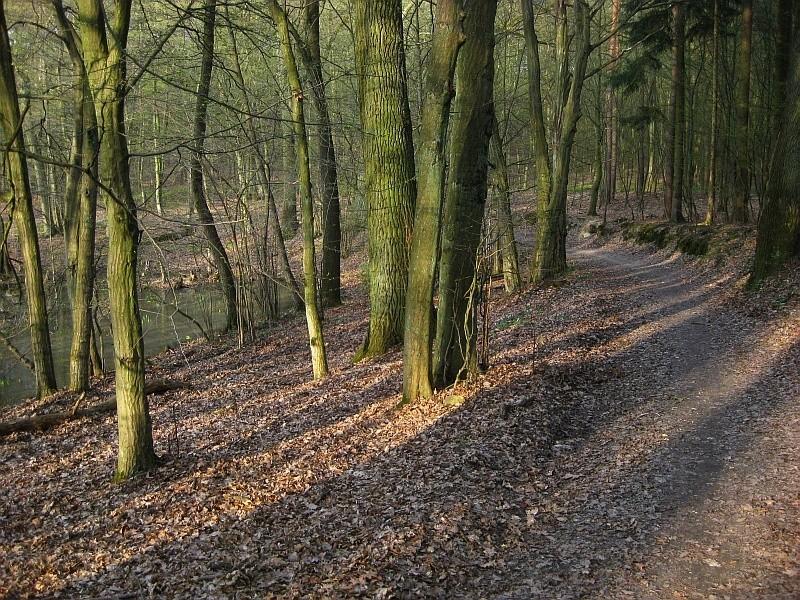 Park Krajobrazowy Promno - okoliza rezerwatu "Jezioro Drążynek"