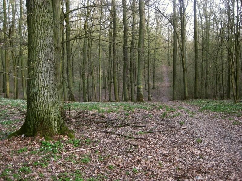 Park Krajobrazowy Promno - raz z górki, a raz pod górkę