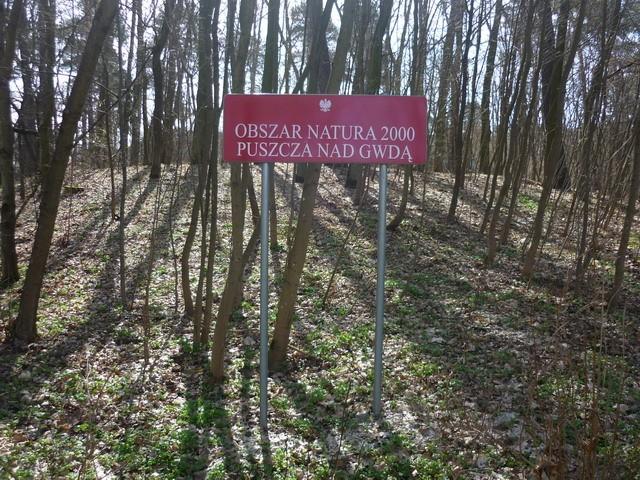 A więc kolejna puszcza zaliczona;)