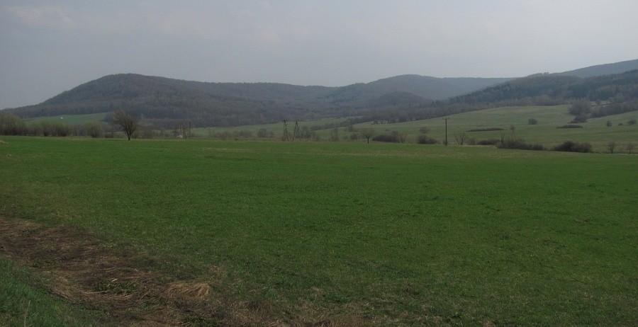 okolice Bednarki