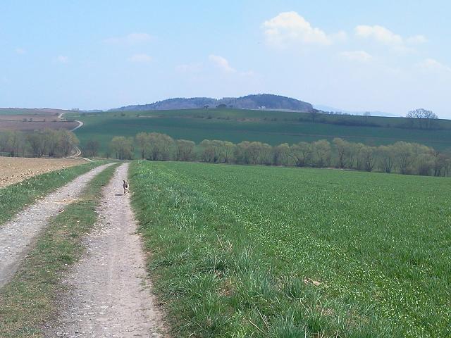 Góra Chełm