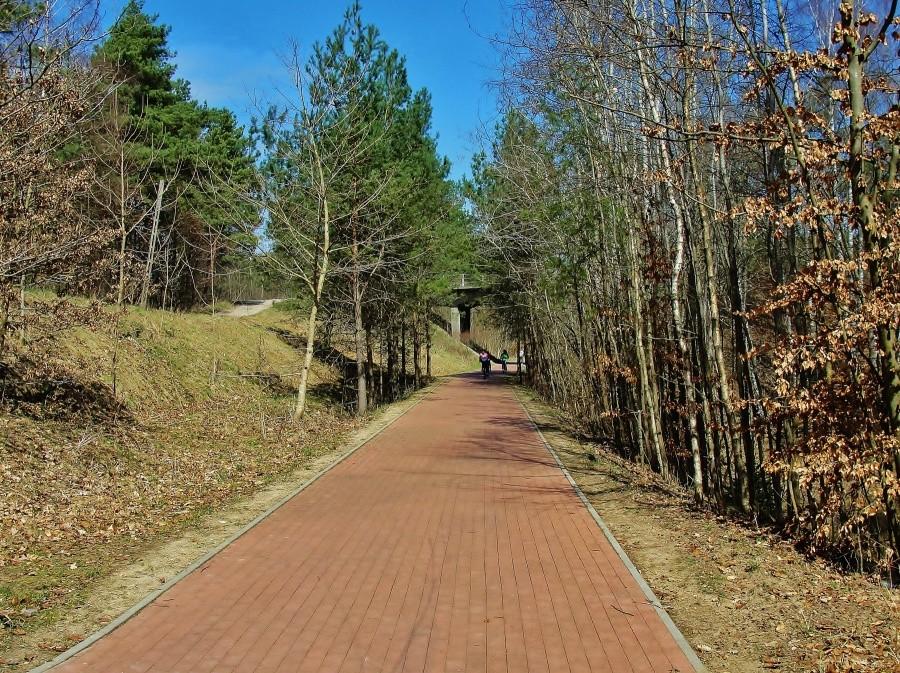 Ścieżka rowerowa w Borównie.
