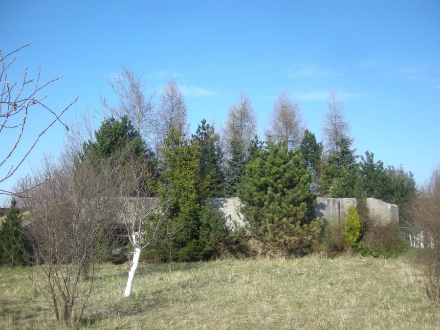 Stolarzowice - schron Regelbau 116b