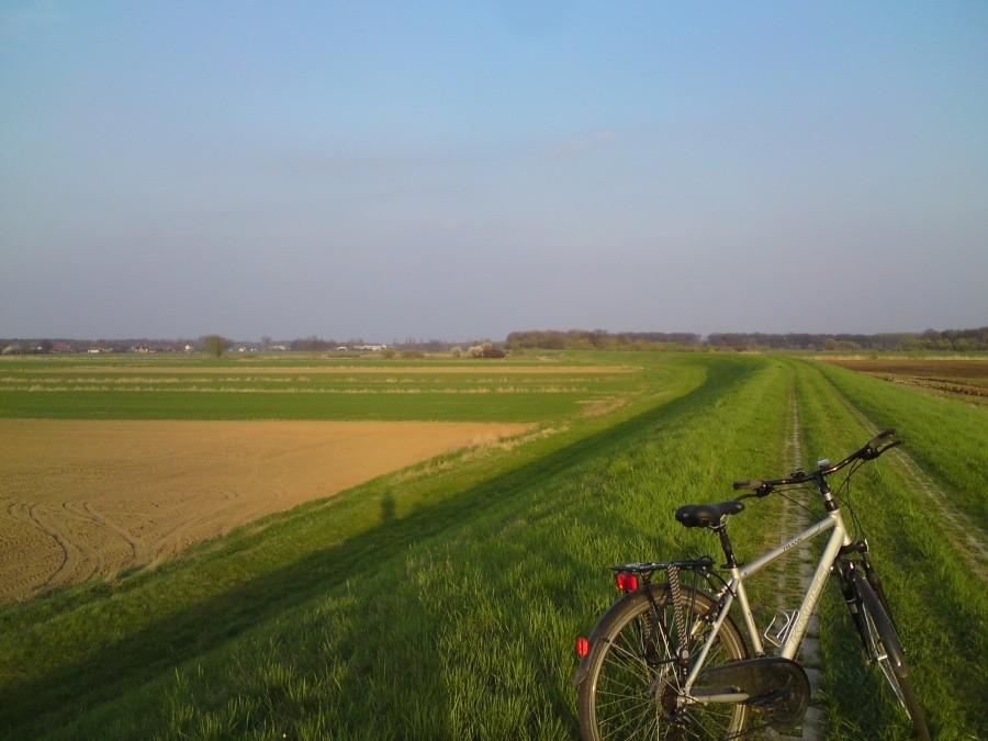 Na polniakach