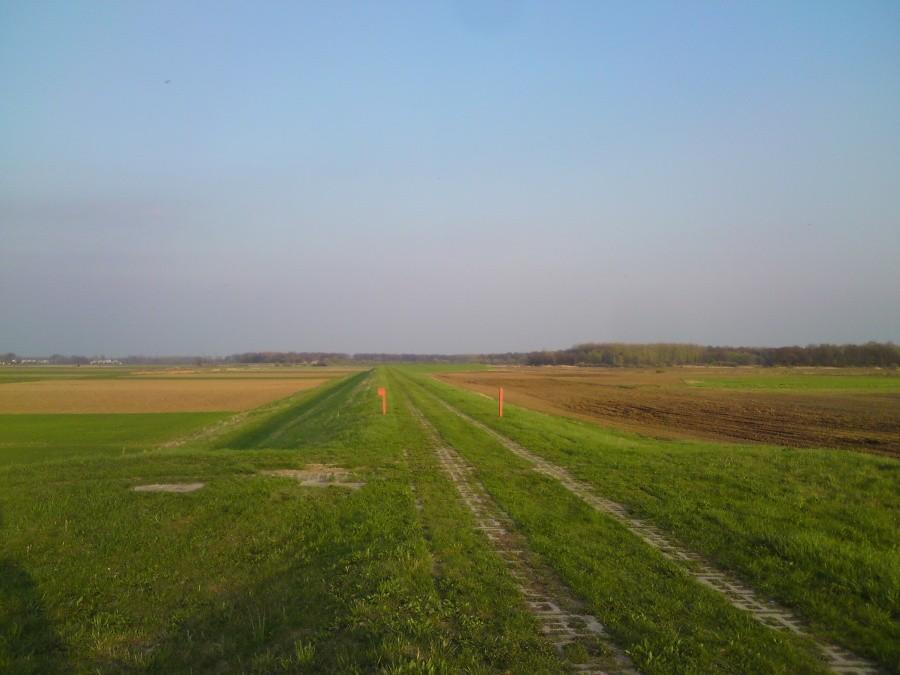 Na polniakach