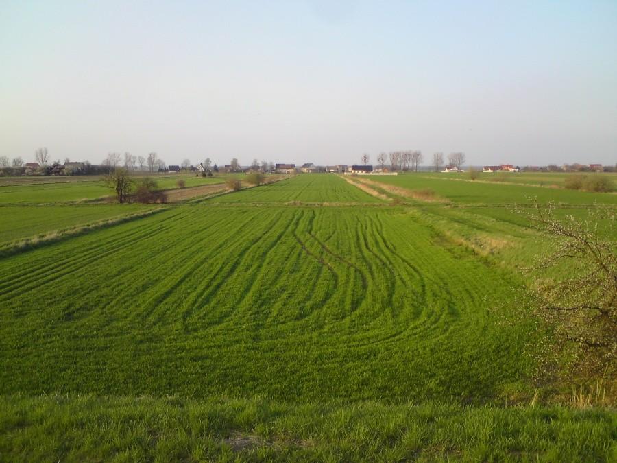 Na polniakach