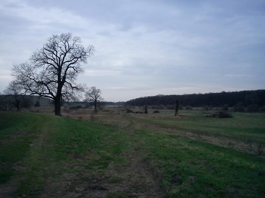 krajobraz nad odrą