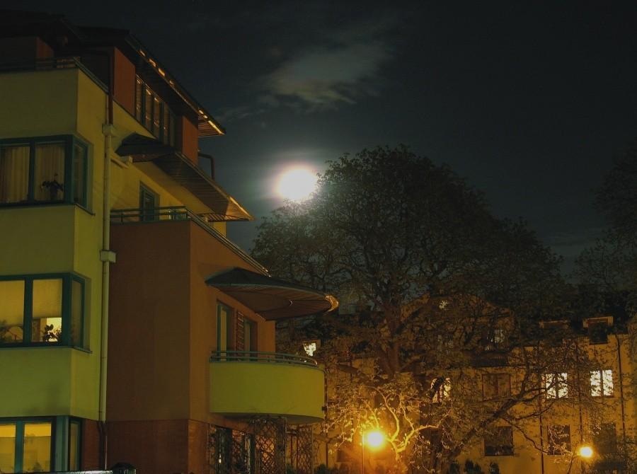 Księżyc nad Natolinem