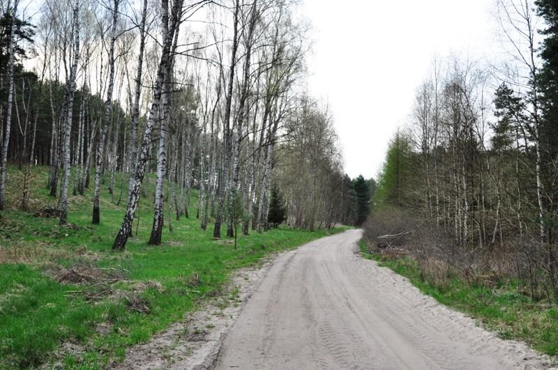 Początek zapowiadał się nieźle ale później było już tylko gorzej...