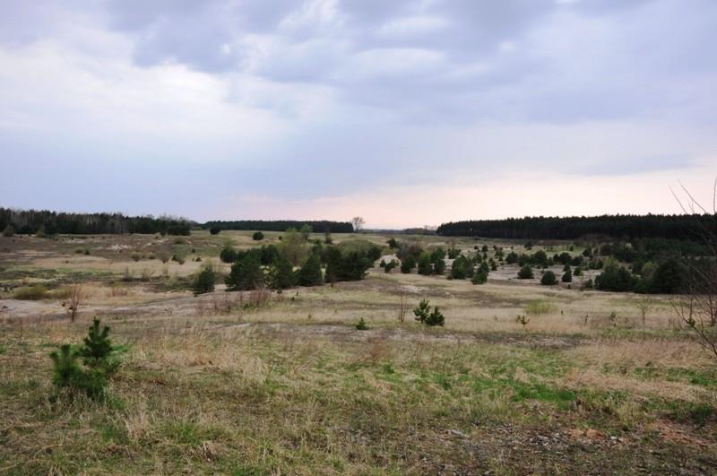 Byłe wyrobiska żwirowni w Walkowicach