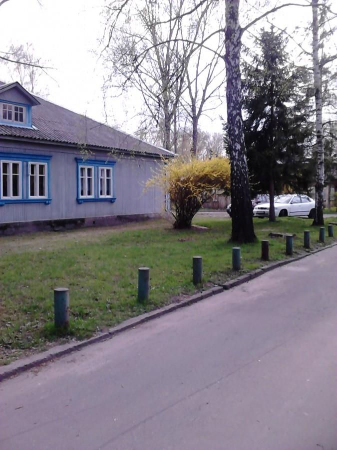 Zazieleniło się, kwitną forsycje