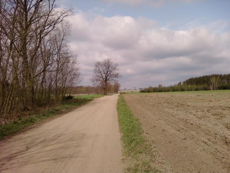 Okolice Gajówki