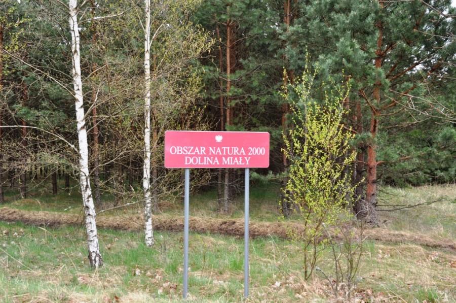 W drodze do Mężyka - Dlina Miały