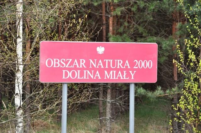 Dolina rzeki Miały - w drodze do Mężyka