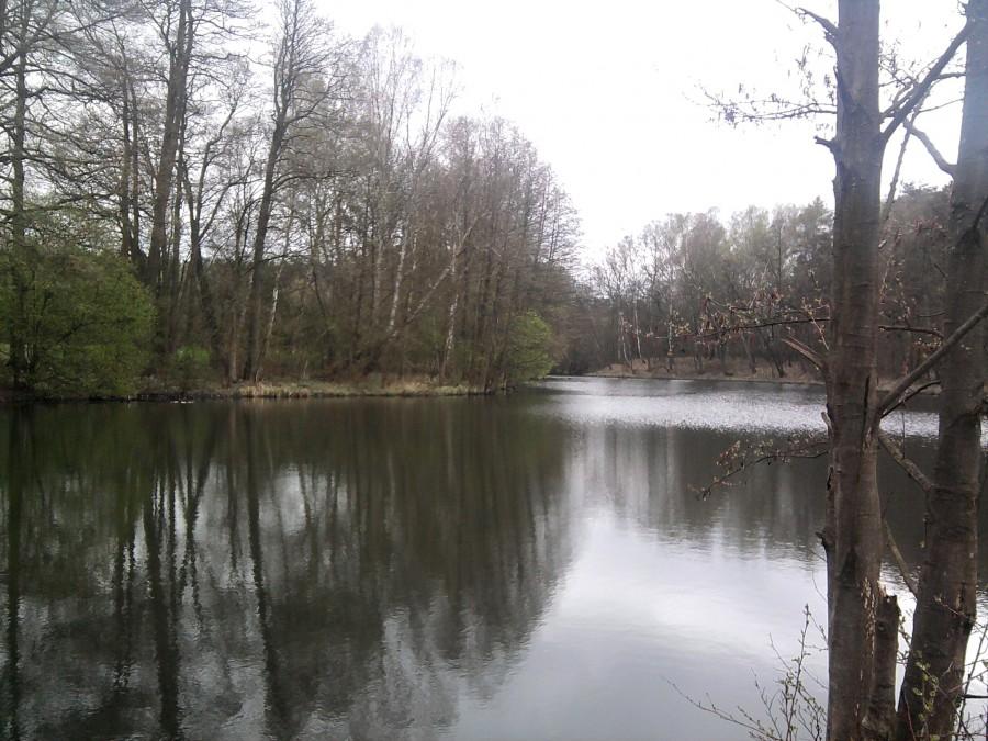 Jeziorko w Rudach