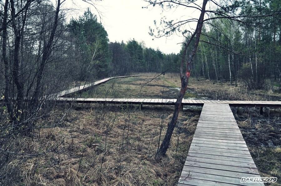 Błędów- Bagna nad Przemszą