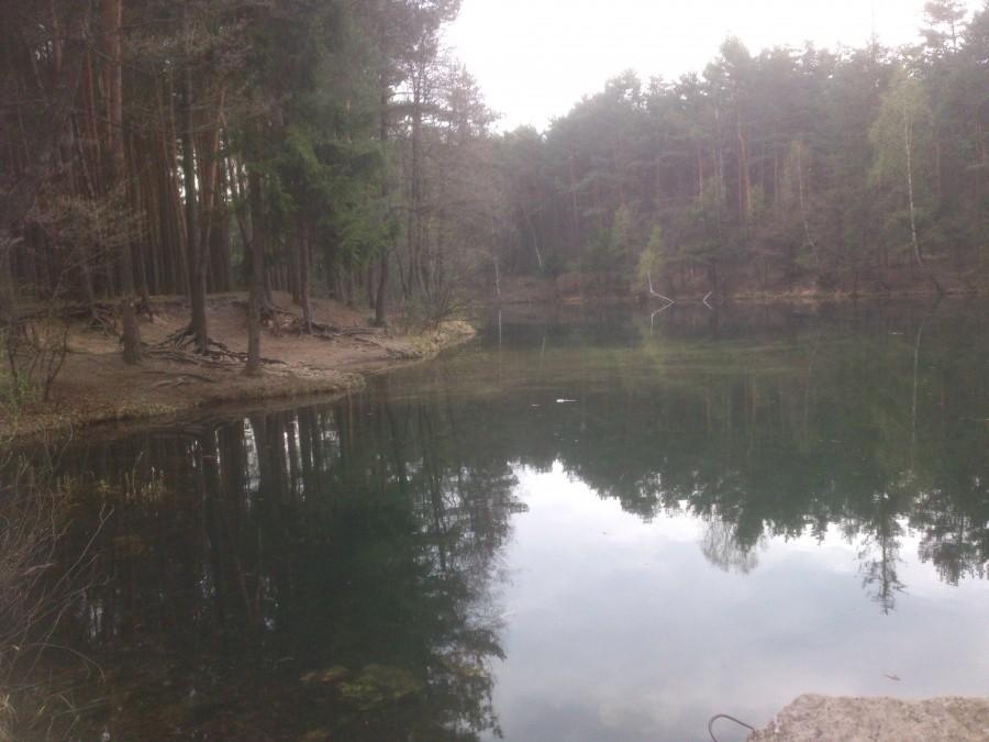 Dolina Żabnika