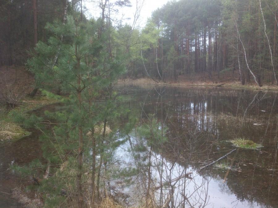 Dolina Żabnika
