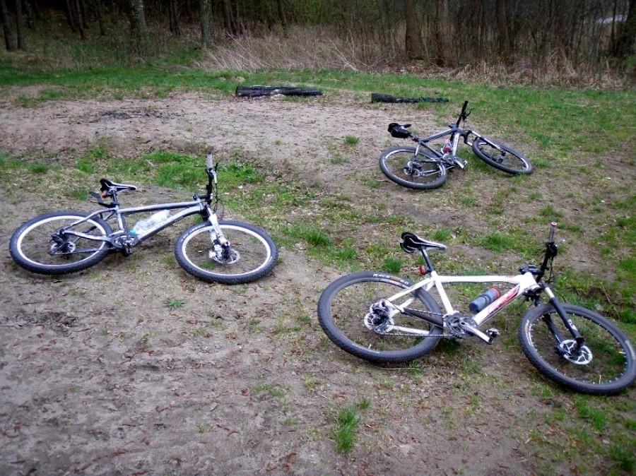 trzy piękne rumaki: Felt, Centurion i Trek