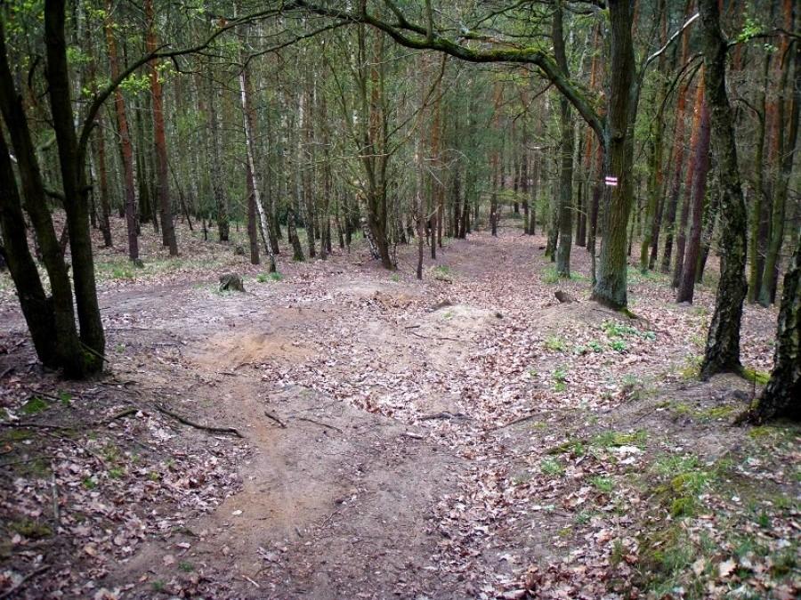 Killer - widok z góry w dół