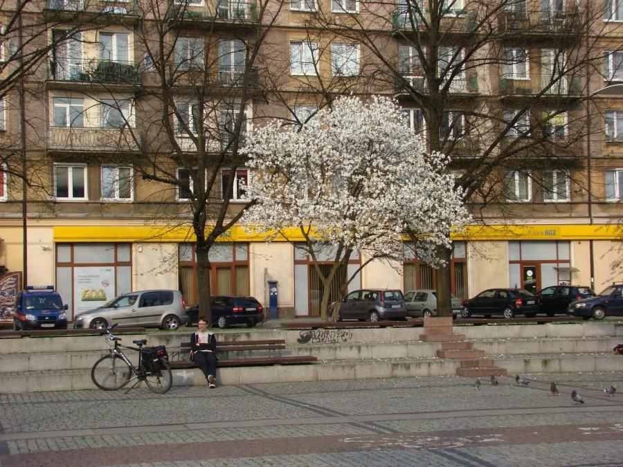 Szczecinska masa kwietniowa - pogodna. 003