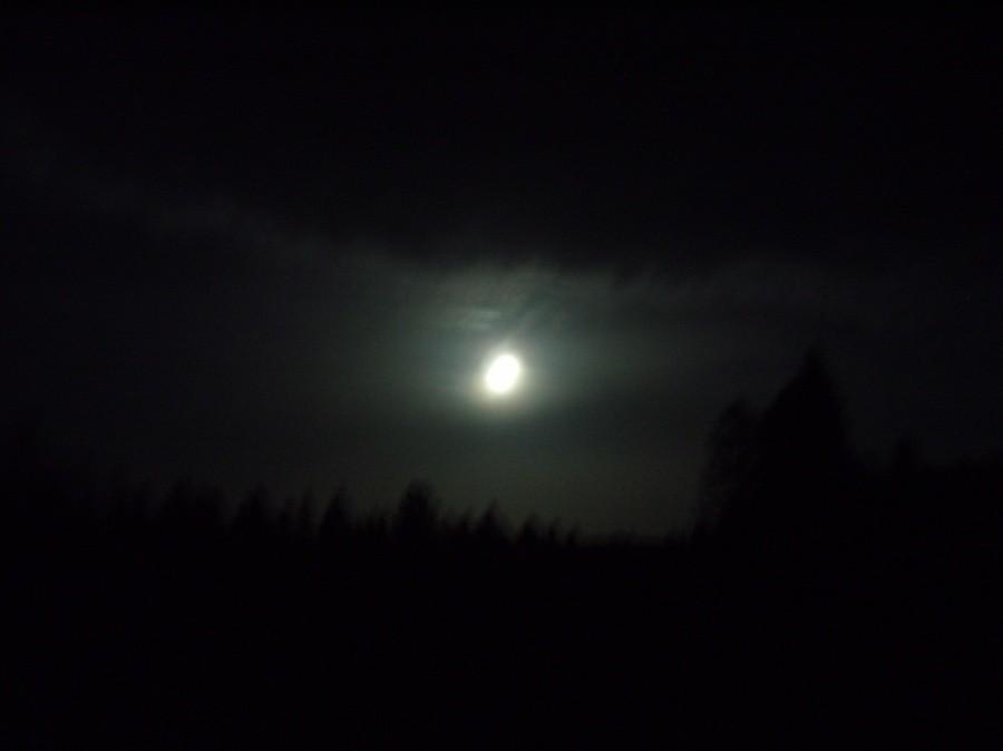 Gdy księżyc ukazał się w pełni a w oddali było słychać wycie wilkołaków ;) był to znak że trzeba albo wracać do domu albo dołączyć do nich. Wybraliśmy wariant 2 ;).