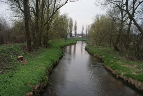Wolbórka z jednej z kładek