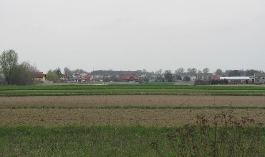 Widok z waypointa Łady - 115,4 n.p.m.