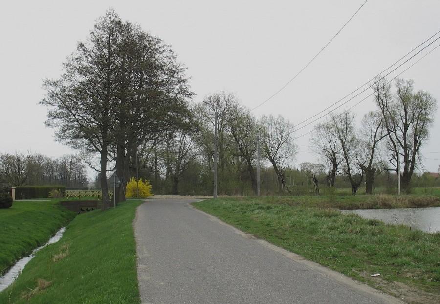 Łady – między rowem, a stawem