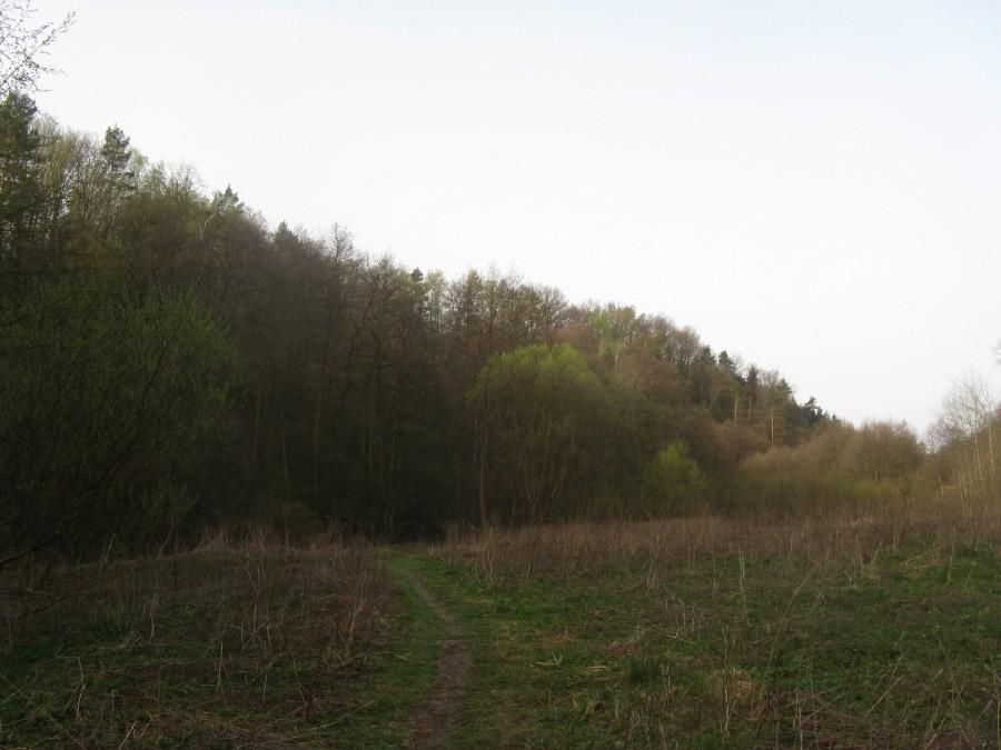 Dolina Kluczwody