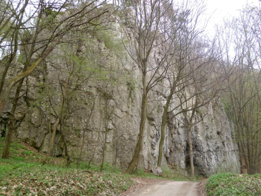 Skałka w drodze do Ojcowa