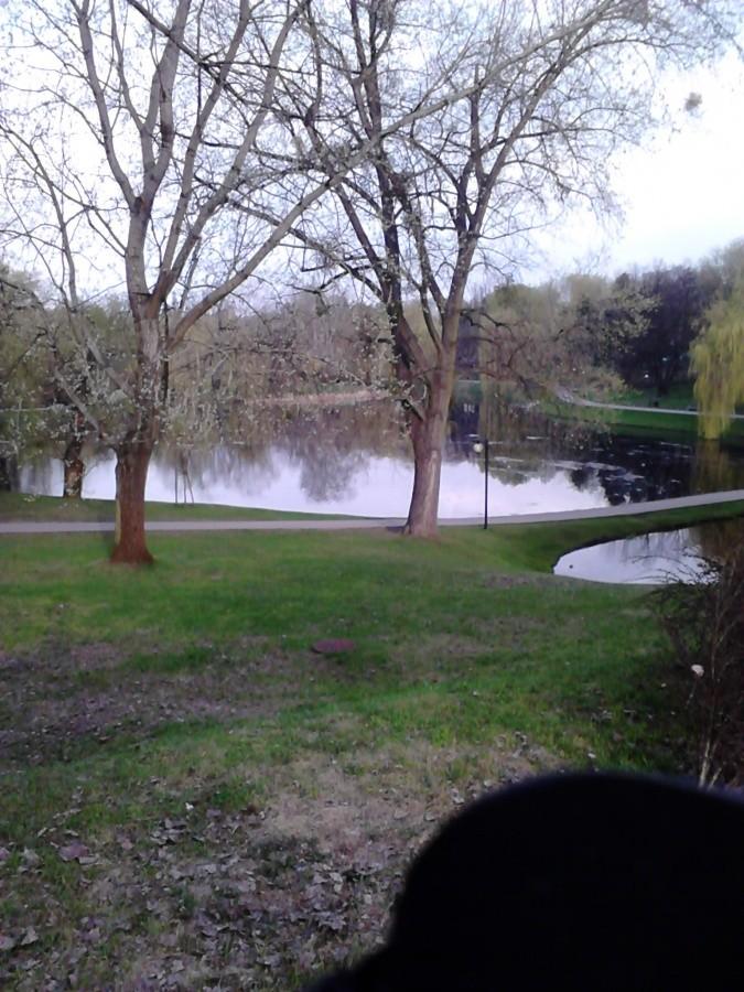 Park Moczydło