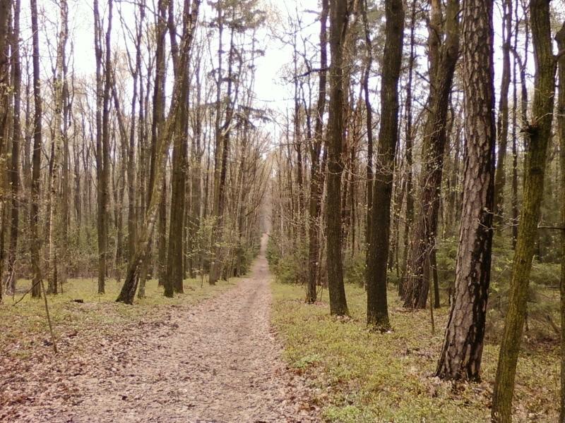 Zjazd na północ od Okólnej