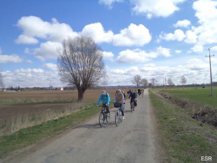 IWA - uczestnicy
