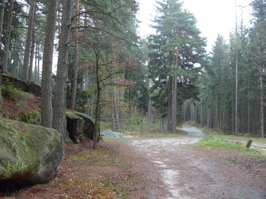 Zmierzamy w stronę tarasu widokowego gdzie widok rozciąga się na całą Polanicę.