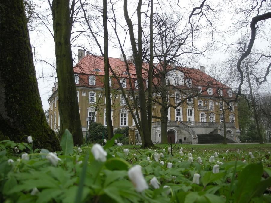 Pałac Ballestrema w Kochcicach