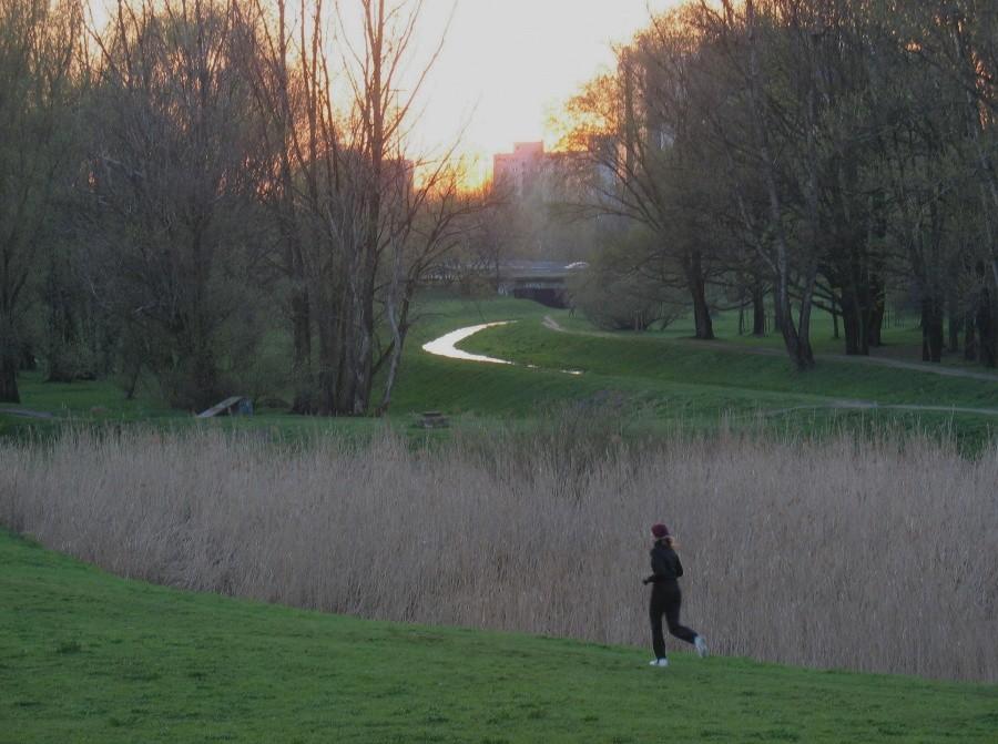 Jogging w Dolinie Służewieckiej