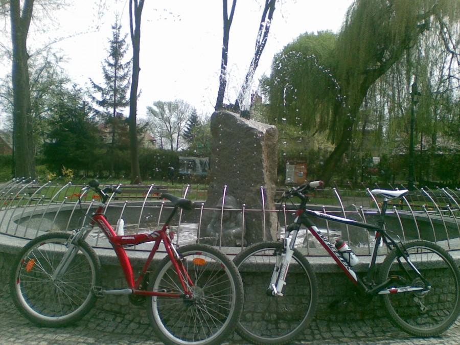 Solanka Zabłocka